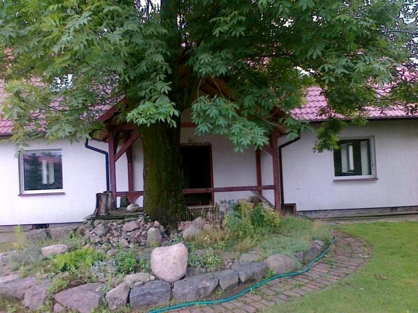 Zdjęcie 2
