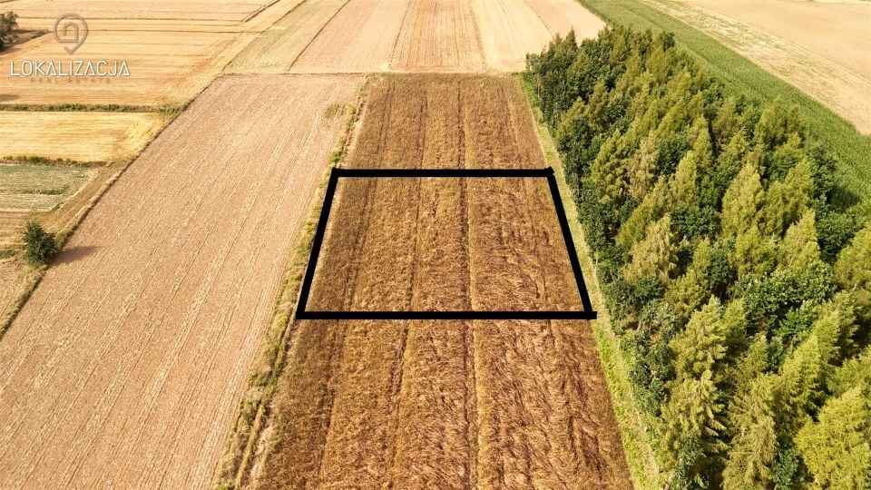 Zdjęcie 2
