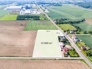 Działka przy lesie