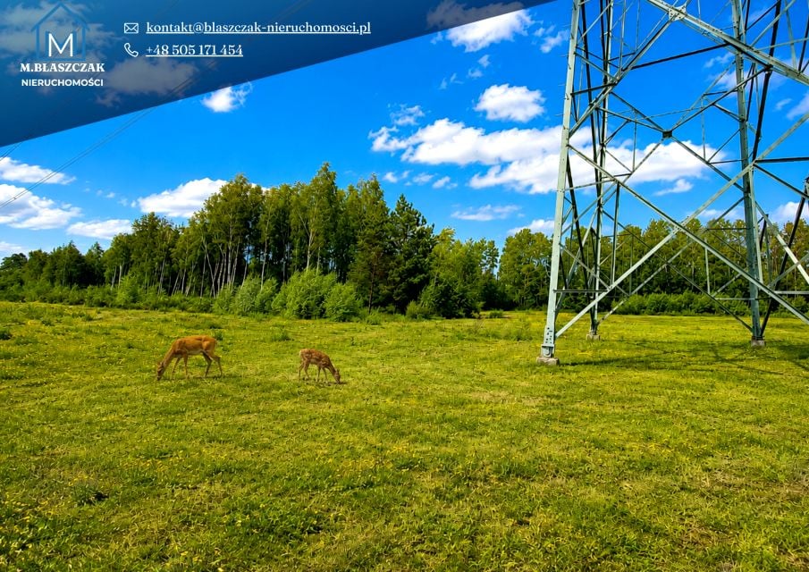Działka rolna Sulejów
