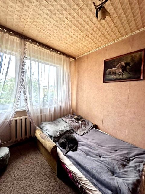Zdjęcie 3