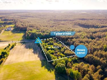Działka Skorzewo