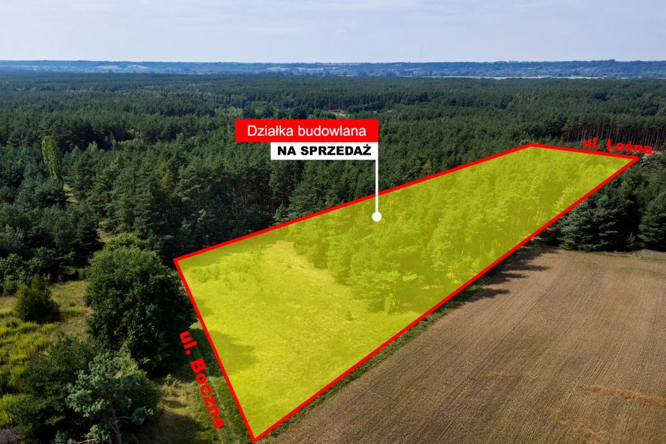 Zdjęcie 3