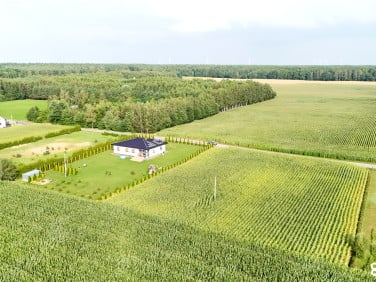 Działka Wąbrzeźno