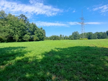 Działka rolna Dąbrowa Szlachecka