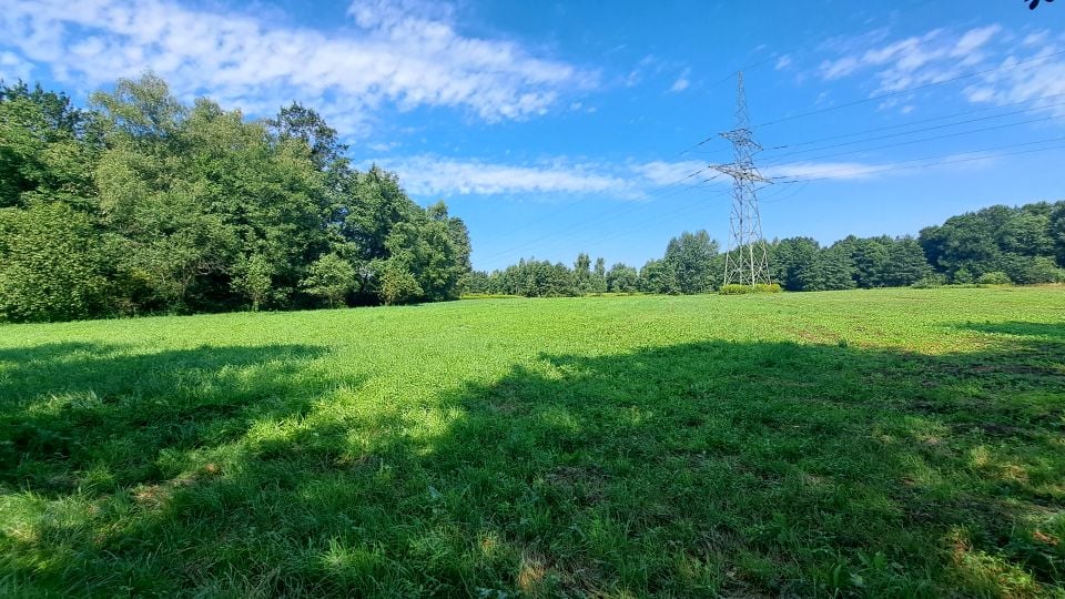 Działka rolna Dąbrowa Szlachecka