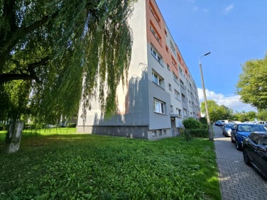 Mieszkanie Bytom