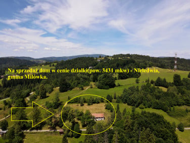 Dom Nieledwia