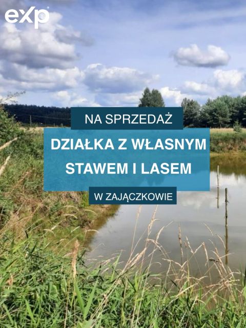 Zdjęcie 3