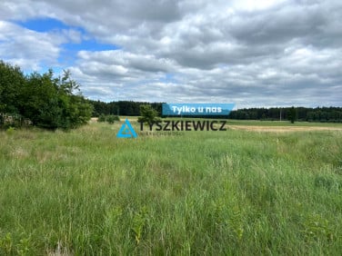Działka przy lesie