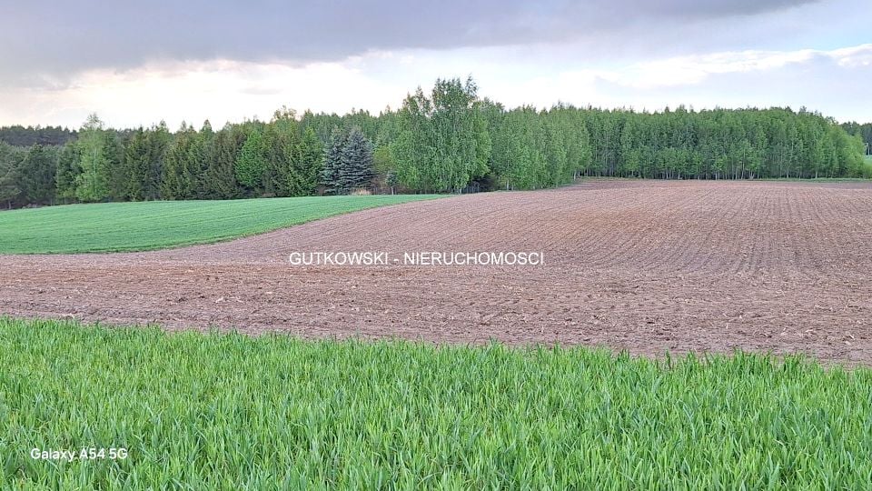 Zdjęcie 3