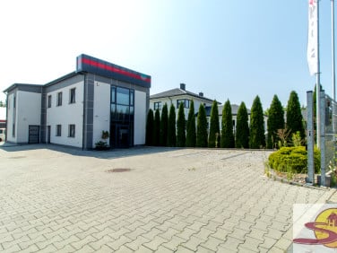 Lokal Radom
