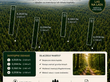 Działka leśna Poniatowicze