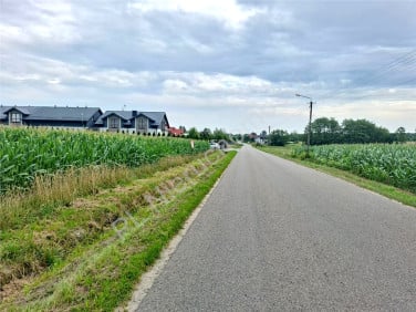 Działka Brzóze