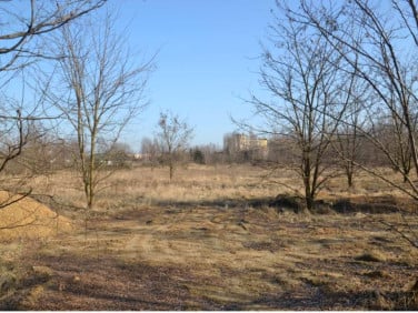 Działka inwestycyjna Koluszki