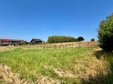 Mieszkanie Tarnowskie Góry