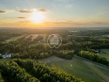 Działka siedliskowa Skuły