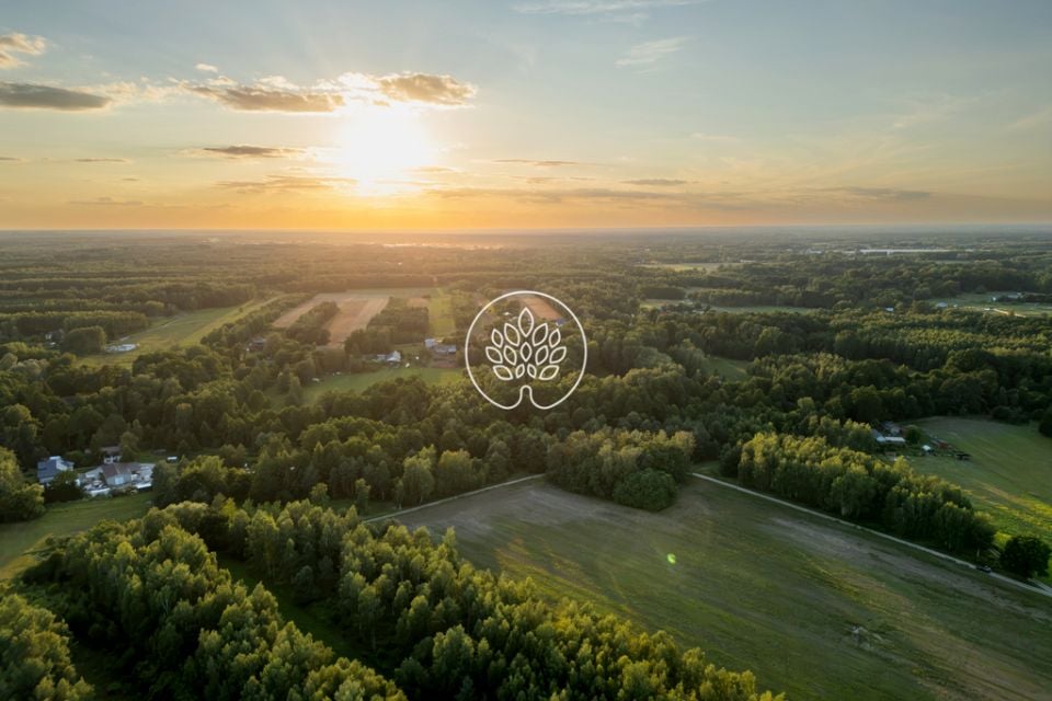Działka siedliskowa Skuły