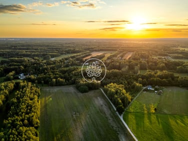 Działka Skuły
