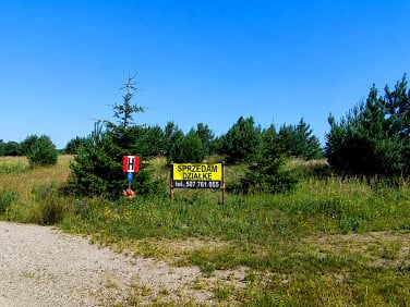 Działka nad jeziorem