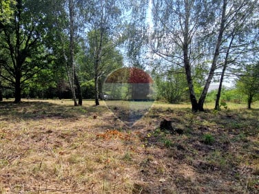 Działka Bielicha