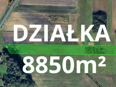 Działka budowlana Zabijak