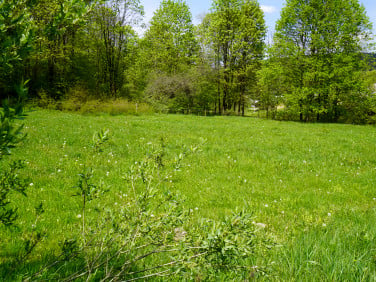 Działka budowlana Nowica