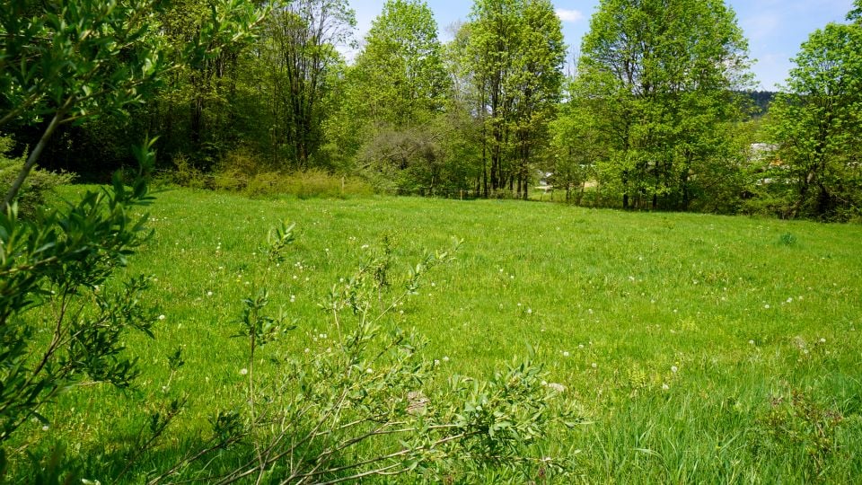 Działka budowlana Nowica