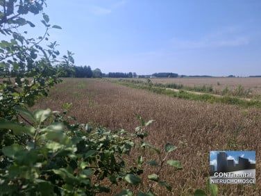 Działka budowlana Gąsówka-Osse