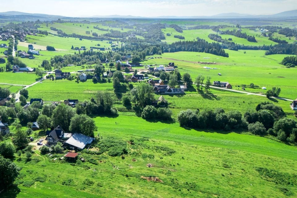Zdjęcie 3