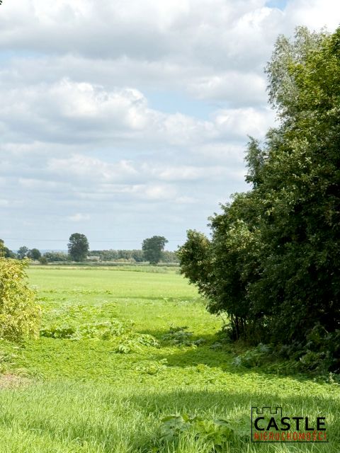 Zdjęcie 2