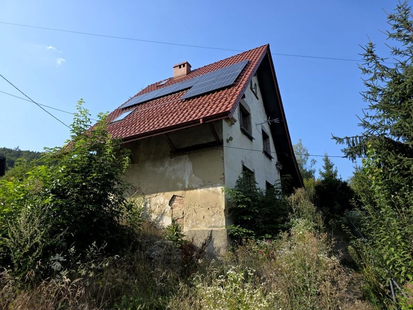 Zdjęcie 2