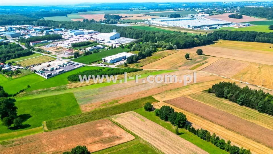 Zdjęcie 3