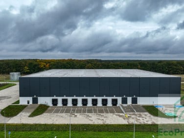 Budynek użytkowy Świecko