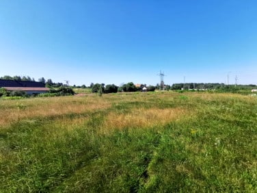 Działka Czerwona Woda
