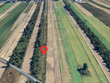 Działka rolna Biała