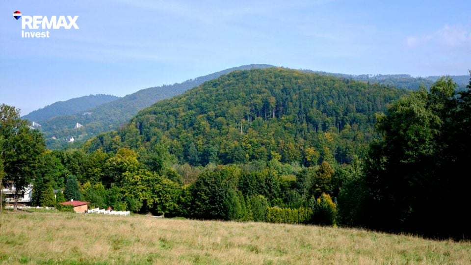 Zdjęcie 2