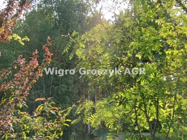 Pusta działka Kaliszki