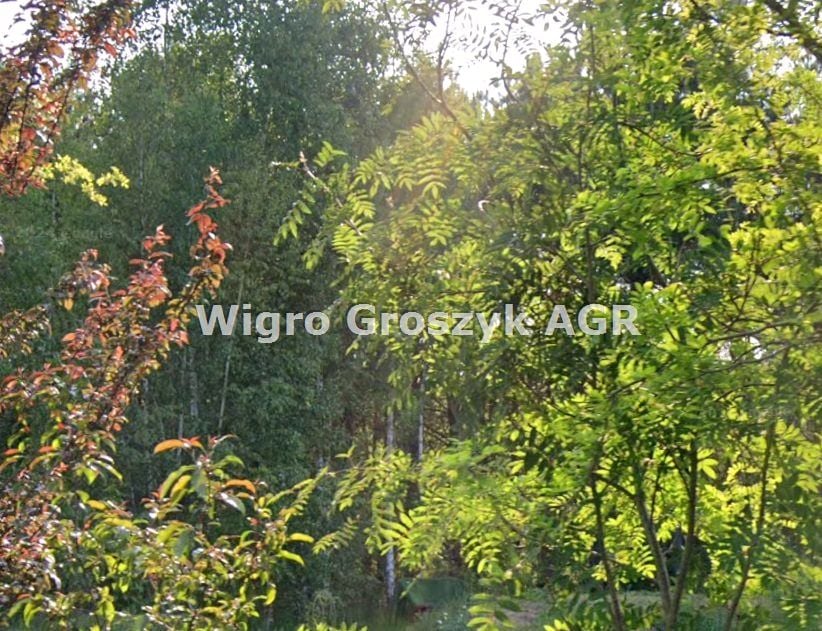 Pusta działka Kaliszki