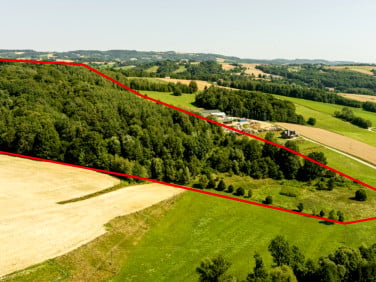 Działka Joniny