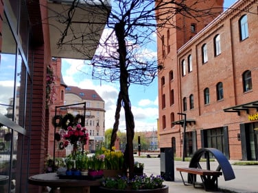 Mieszkanie Wrocław sprzedaż