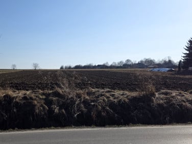 Działka budowlana Rzeplin