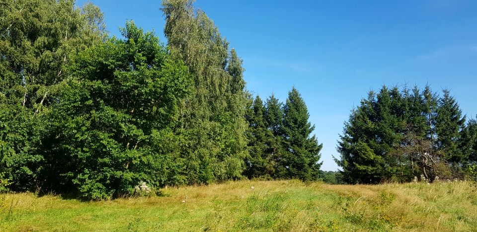 Działka nad rzeką