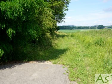 Działka Więckowice