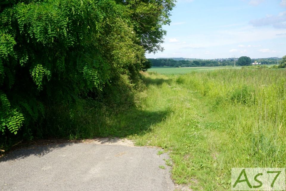 Działka Więckowice