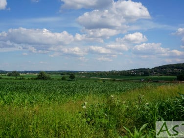 Działka Więckowice
