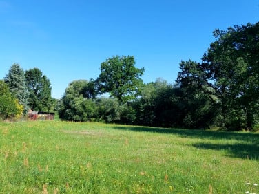 Działka Gorzewnica