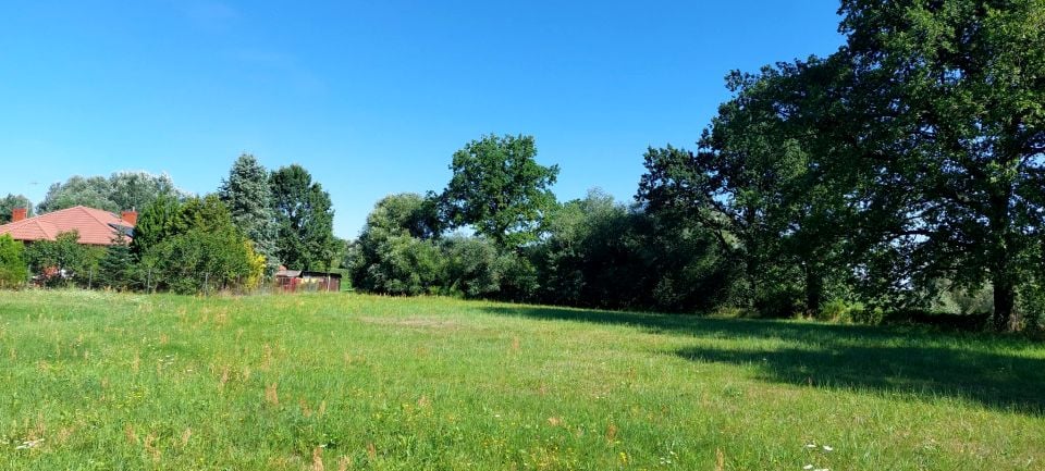 Działka Gorzewnica