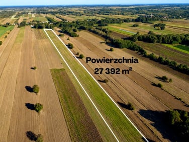 Działka Lipka