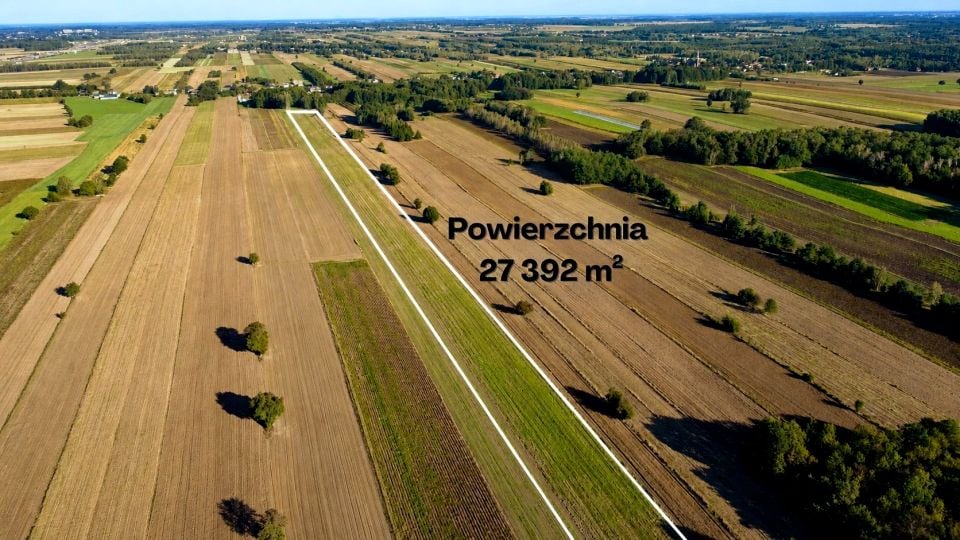 Działka Lipka